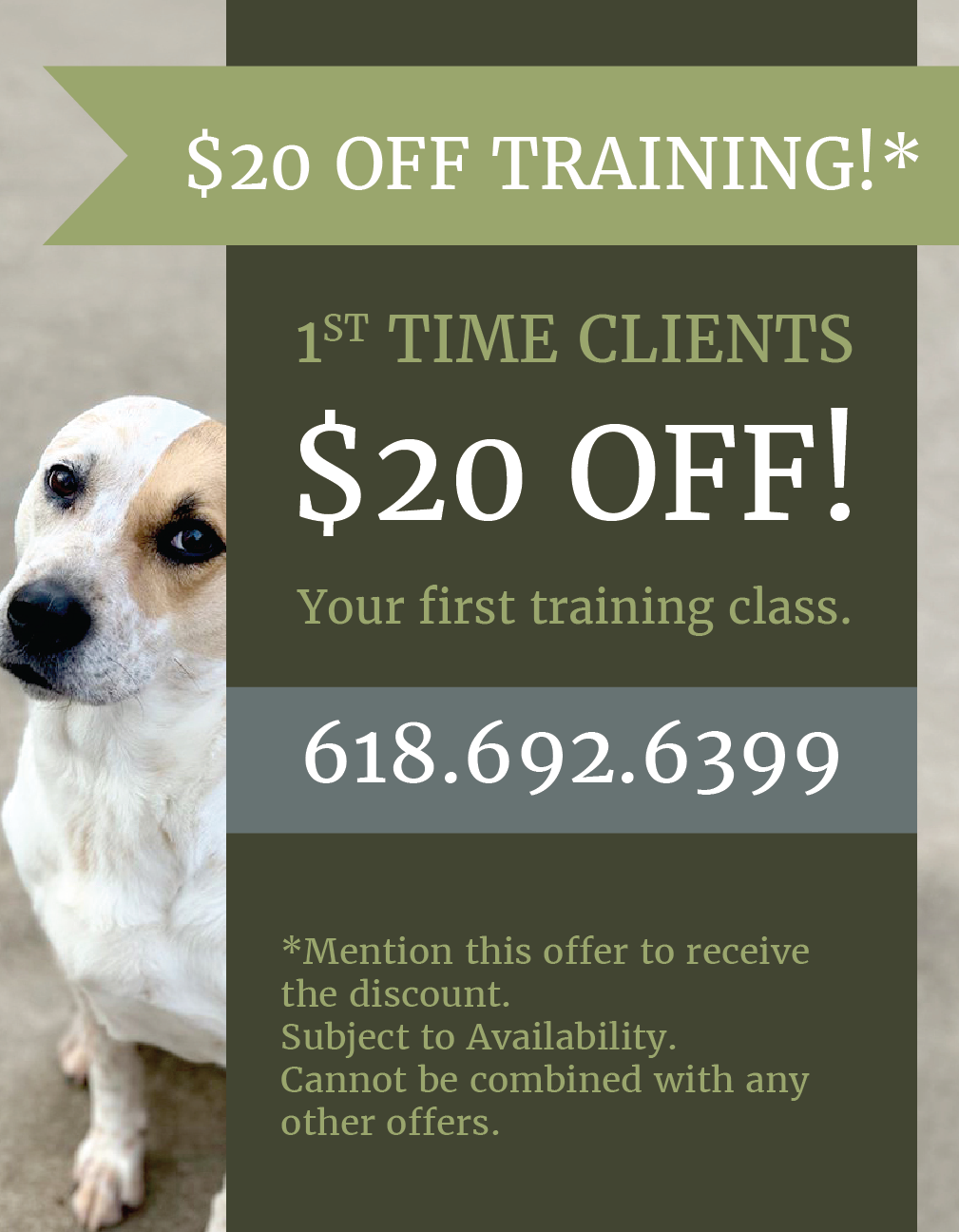 Special Training Offer from LaBest Pet Resort and Spa