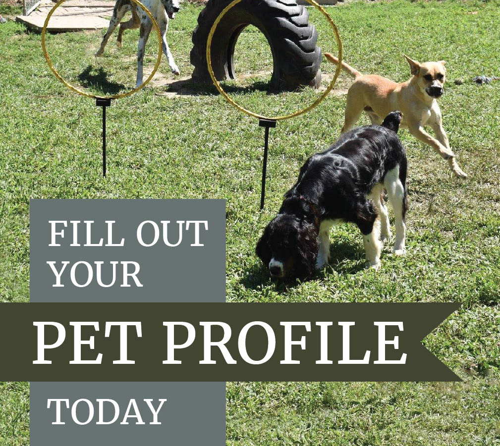 Fill out you Pet Profile for LaBest Pet Resort and Spa